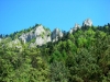 dsc05455